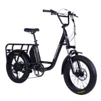 Електровелосипед складний Adfamant 48V 500W з акумулятром 17,5Ah